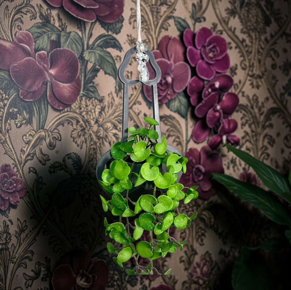 Mr. Morningwood Versatile Plant Hanger & Pot likes to hang low